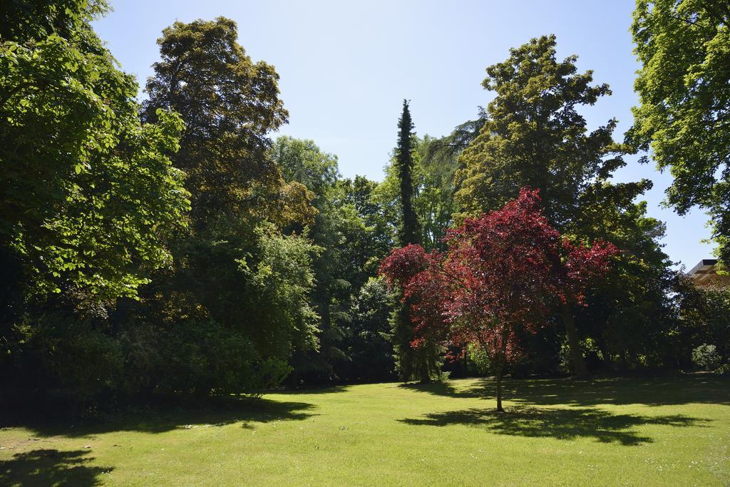 Le Château D'hermonville / D'hôtes Couette-café Hermonville